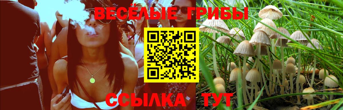 Галлюциногенные грибы Magic Shrooms  Вход с VPN  Черкесск 